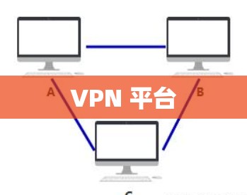 VPN 平台