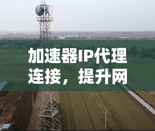 加速器IP代理连接，提升网络数据传输效率的关键技术
