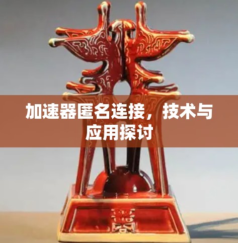 加速器匿名连接，技术与应用探讨