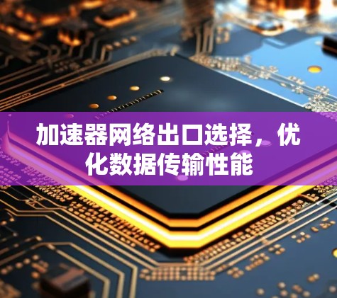 加速器网络出口选择，优化数据传输性能
