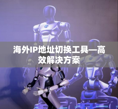 海外IP地址切换工具—高效解决方案