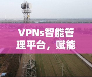 VPNs智能管理平台，赋能未来网络管理新体验