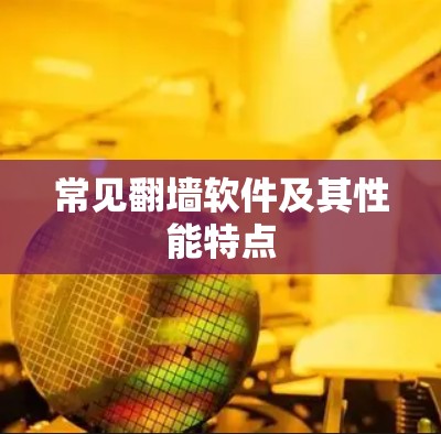 常见翻墙软件及其性能特点