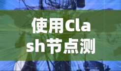 使用Clash节点测速工具进行网络测试可以按照以下步骤进行