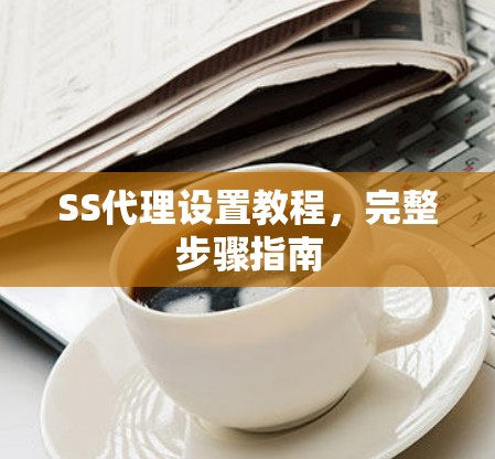 SS代理设置教程，完整步骤指南