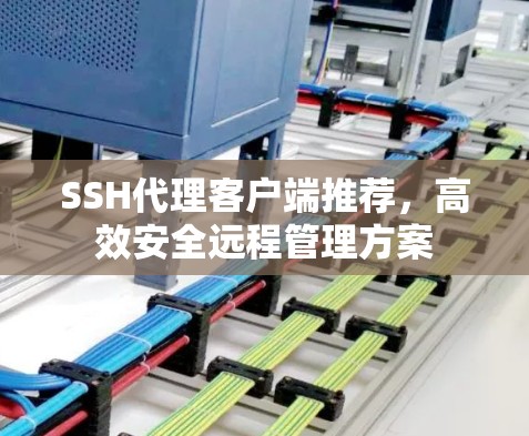 SSH代理客户端推荐，高效安全远程管理方案