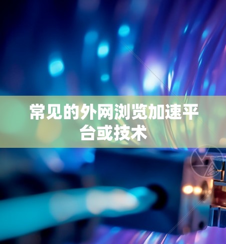 常见的外网浏览加速平台或技术