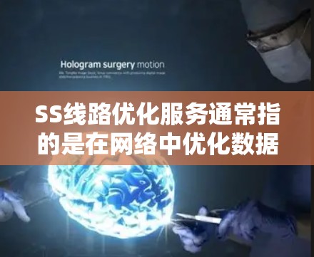 SS线路优化服务通常指的是在网络中优化数据传输路径，使得数据能够以最短路径或最优路径传输，从而提高网络性能和效率。以下是一些关于SS线路优化服务的详细信息