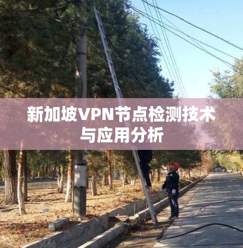 新加坡VPN节点检测技术与应用分析