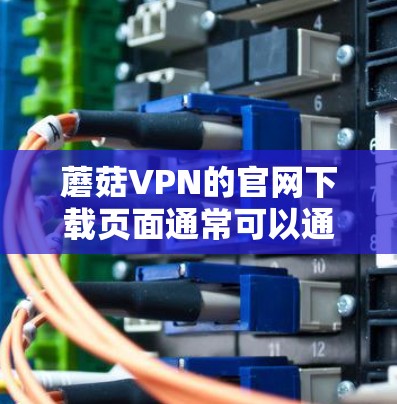 蘑菇VPN的官网下载页面通常可以通过以下步骤找到