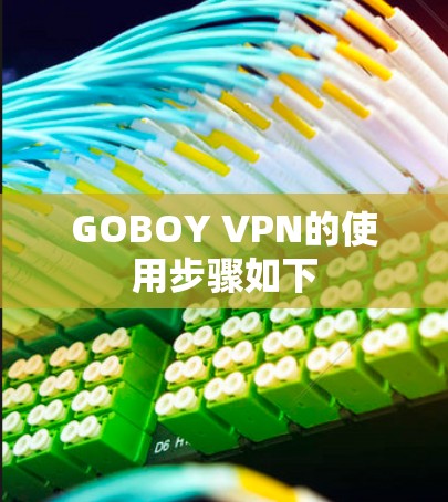 GOBOY VPN的使用步骤如下