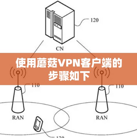 使用蘑菇VPN客户端的步骤如下