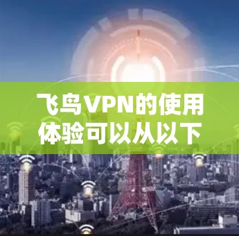 飞鸟VPN的使用体验可以从以下几个方面进行分析