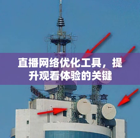 直播网络优化工具，提升观看体验的关键