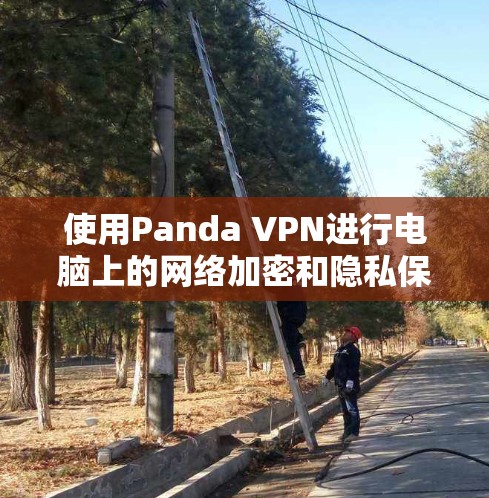使用Panda VPN进行电脑上的网络加密和隐私保护，可以按照以下步骤进行