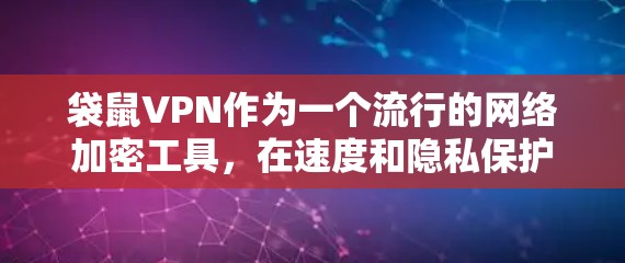 袋鼠VPN作为一个流行的网络加密工具，在速度和隐私保护方面表现不错。然而，用户可能会遇到连接速度慢、超时等问题。以下是解决袋鼠VPN速度体验问题的详细分析和建议