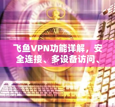 飞鱼VPN功能详解，安全连接、多设备访问、全球服务器等