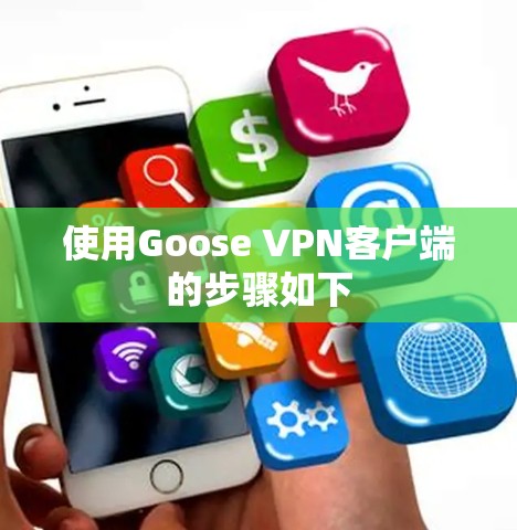使用Goose VPN客户端的步骤如下