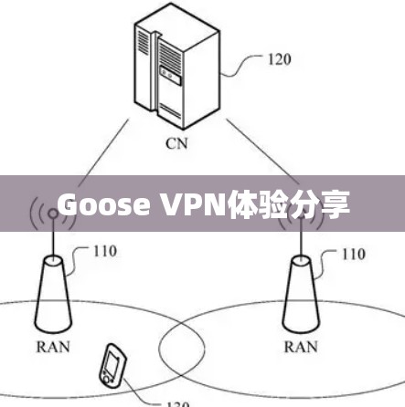 Goose VPN体验分享