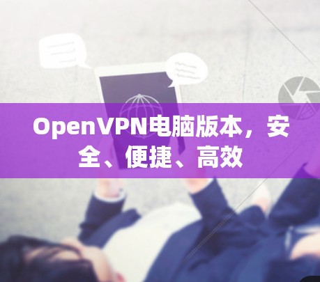 OpenVPN电脑版本，安全、便捷、高效
