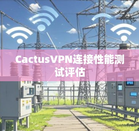 CactusVPN连接性能测试评估