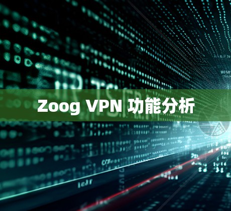 Zoog VPN 功能分析