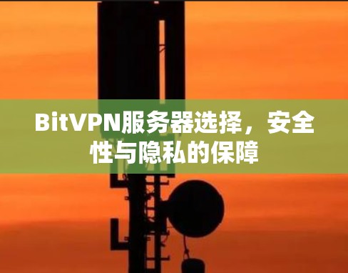 BitVPN服务器选择,安全性与隐私的保障