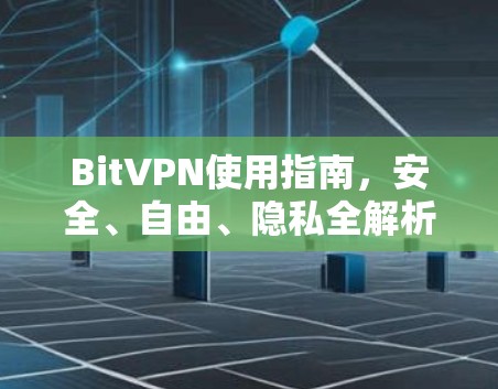 BitVPN使用指南,安全、自由、隐私全解析